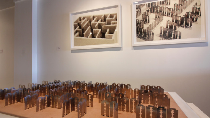 35-OEI-Laberinto-de-Hojas-de-Afeitar-Ronald-Moran