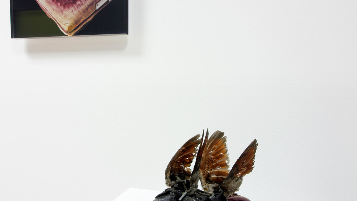 39-Cecilia-Paredes-3