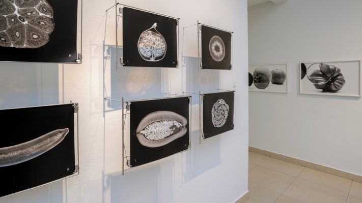 Bella-Cardin-Gallery-View-5-copy