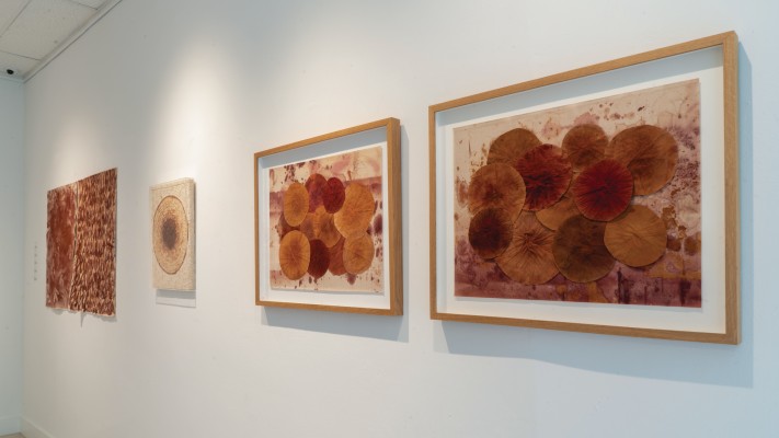 Fernanda-Froes-Gallery-View-26-copy