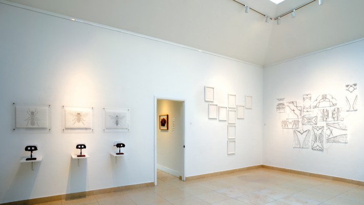 Fernanda-Froes-Gallery-View-4-copy