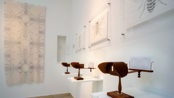 Fernanda-Froes-Gallery-View-7-copy